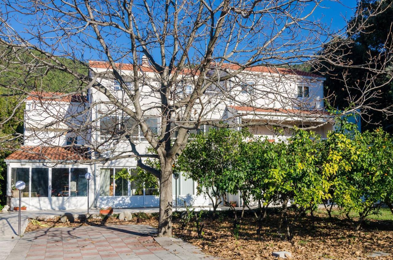 Apartments With A Parking Space Zuljana, Peljesac - 4574 Exteriér fotografie